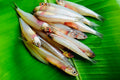 KOZHUVA MEEN