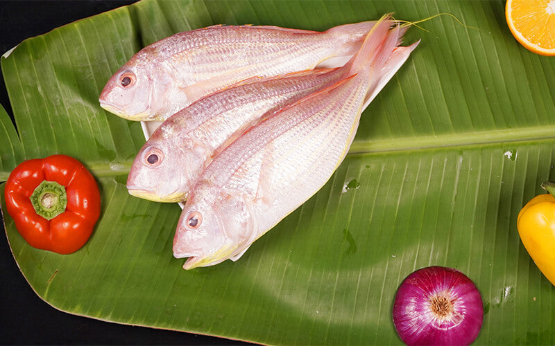 KILI MEEN / PINK PERCH -BIG