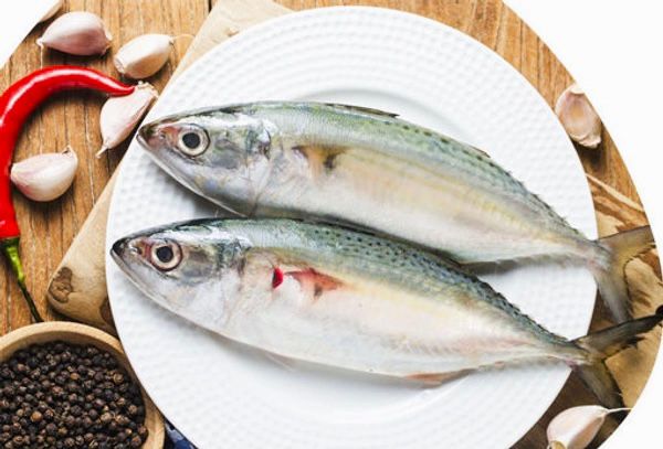 അയല / AYALA/ MACKEREL 1 KG